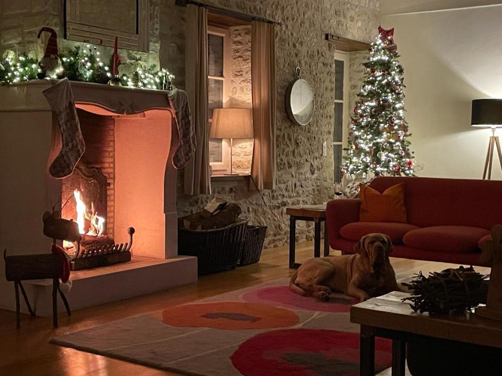 Uniquely Private Holiday Villa In The Charente Puyreaux ภายนอก รูปภาพ