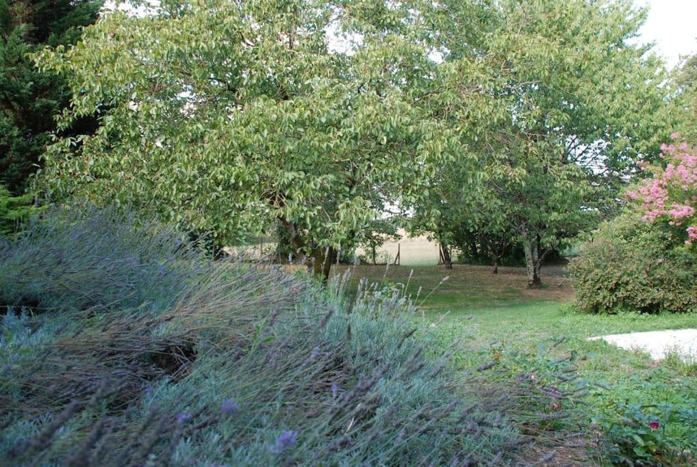 Uniquely Private Holiday Villa In The Charente Puyreaux ภายนอก รูปภาพ